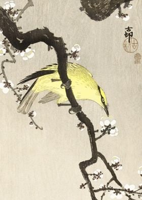 Yellow bird on tree print