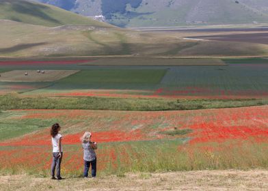 Flowering of Castelluccio