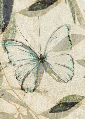 Papillon II