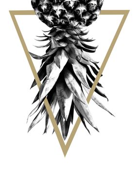 Pineapple Geo 1