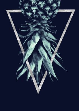Pineapple Geo 2