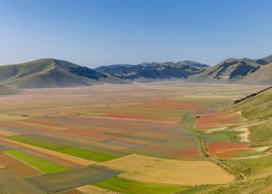 Flowering of Castelluccio