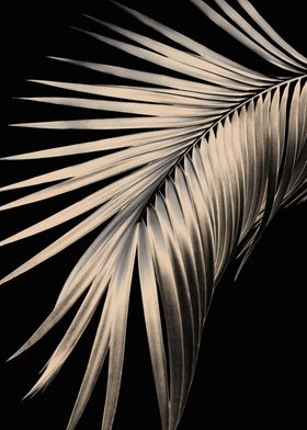 Palm Leaf Dream 1 