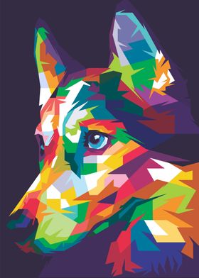 Husky WPAP