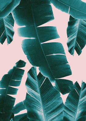 Banana Leaves Summer 1