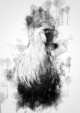 Rooster Looking BW