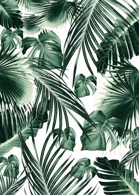 Tropical Jungle Leaves 7