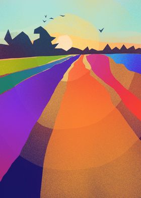 Field of Rainbows
