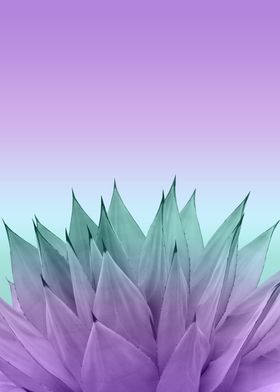Agave Vibes 7 