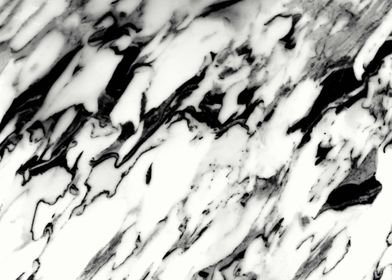 Classic White Marble Glam 