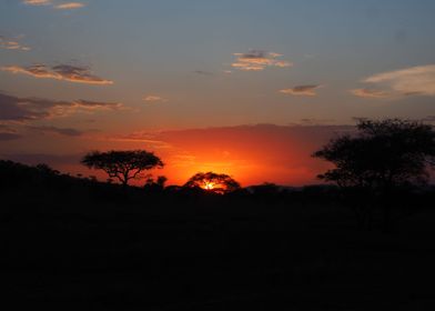 Sunset Serengeti