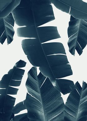 Banana Leaves Green Blue 2