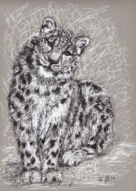 snowleopard scribble art