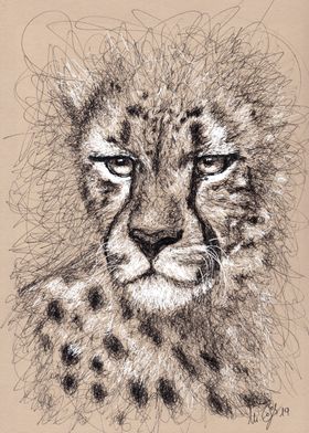 cheetah in scribble art