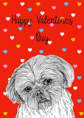 Shih Tzu Valentines Day