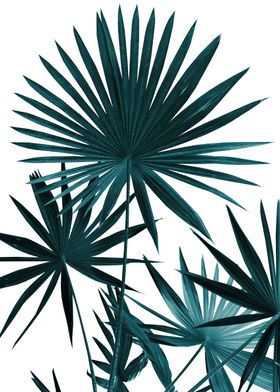 Fan Palm Leaves Jungle 1 