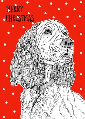 Spaniel Christmas Greeting