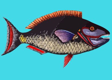 aquatic animal fish art