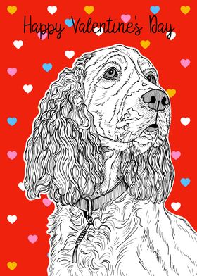 Spaniel Valentines Day