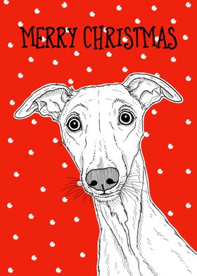 Whippet Christmas Dog