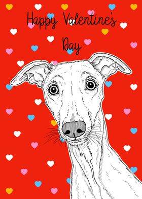 Whippet Valentines Day