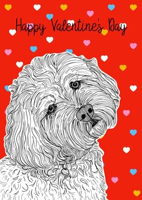 Cockapoo Valentines Day