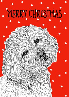 Cockapoo Christmas Dog