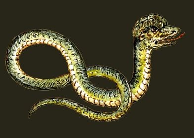 vintage snake art