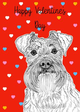 Schnauzer Valentines Day