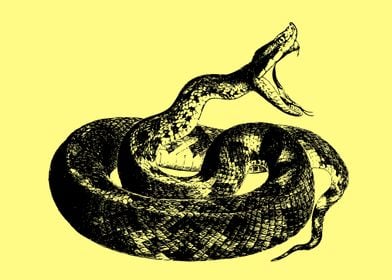 vintage snake art
