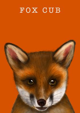 Fox Cub