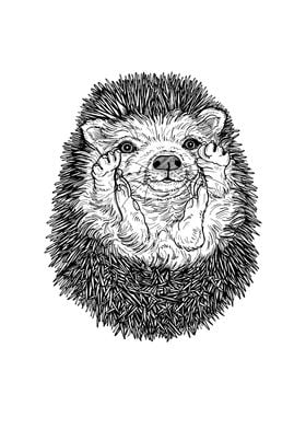 Hedgehog