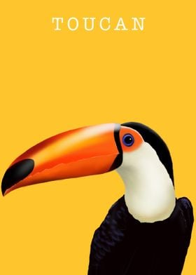 Toucan