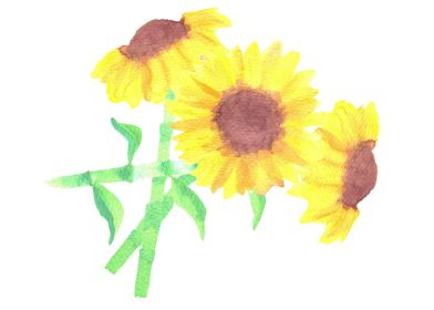 watercolor sunflower bunch