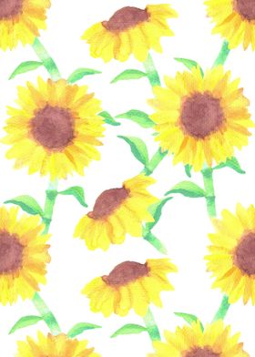 Sunflowers or Helianthus