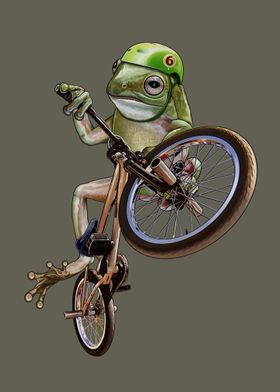 BMX FROG