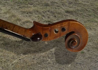 violin scroll