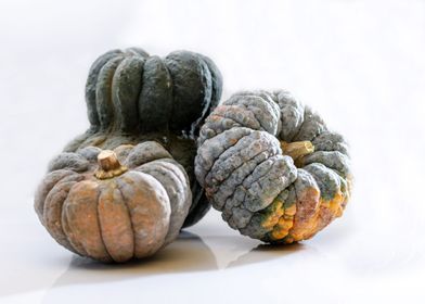 whole pumpkins
