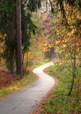 Autumn in Kaunas