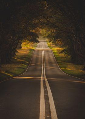 Road to Autumn