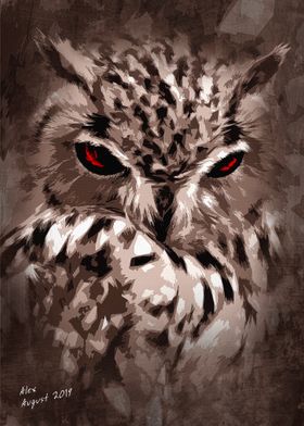 Owl night hunter