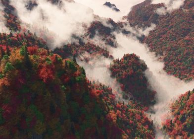 Misty Ridge Autumn