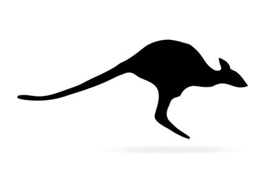 Kangaroo