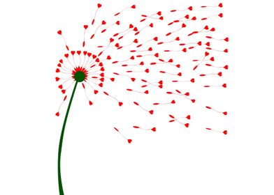 Dandelion Heart Seeds