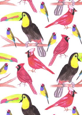 watercolor birds in tetrad