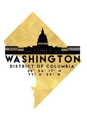 Washington DC Map Skyline