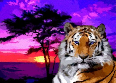 tigre sundown
