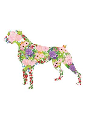 Floral Boxer Dog