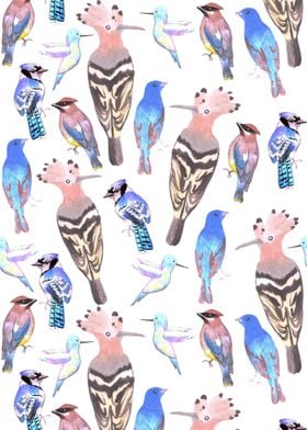 Wild birds watercolor