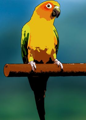 Vector Sun Conure Parrot